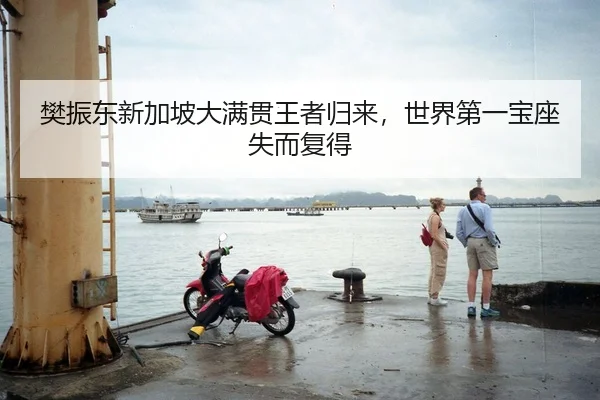 樊振东新加坡大满贯王者归来，世界第一宝座失而复得